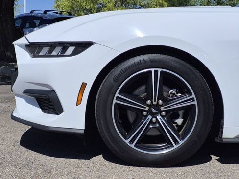 Used 2024 Ford Mustang Premium RWD image 6
