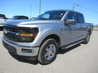 Used 2025 Ford F150 XLT w/ Equipment Group 301A Standard