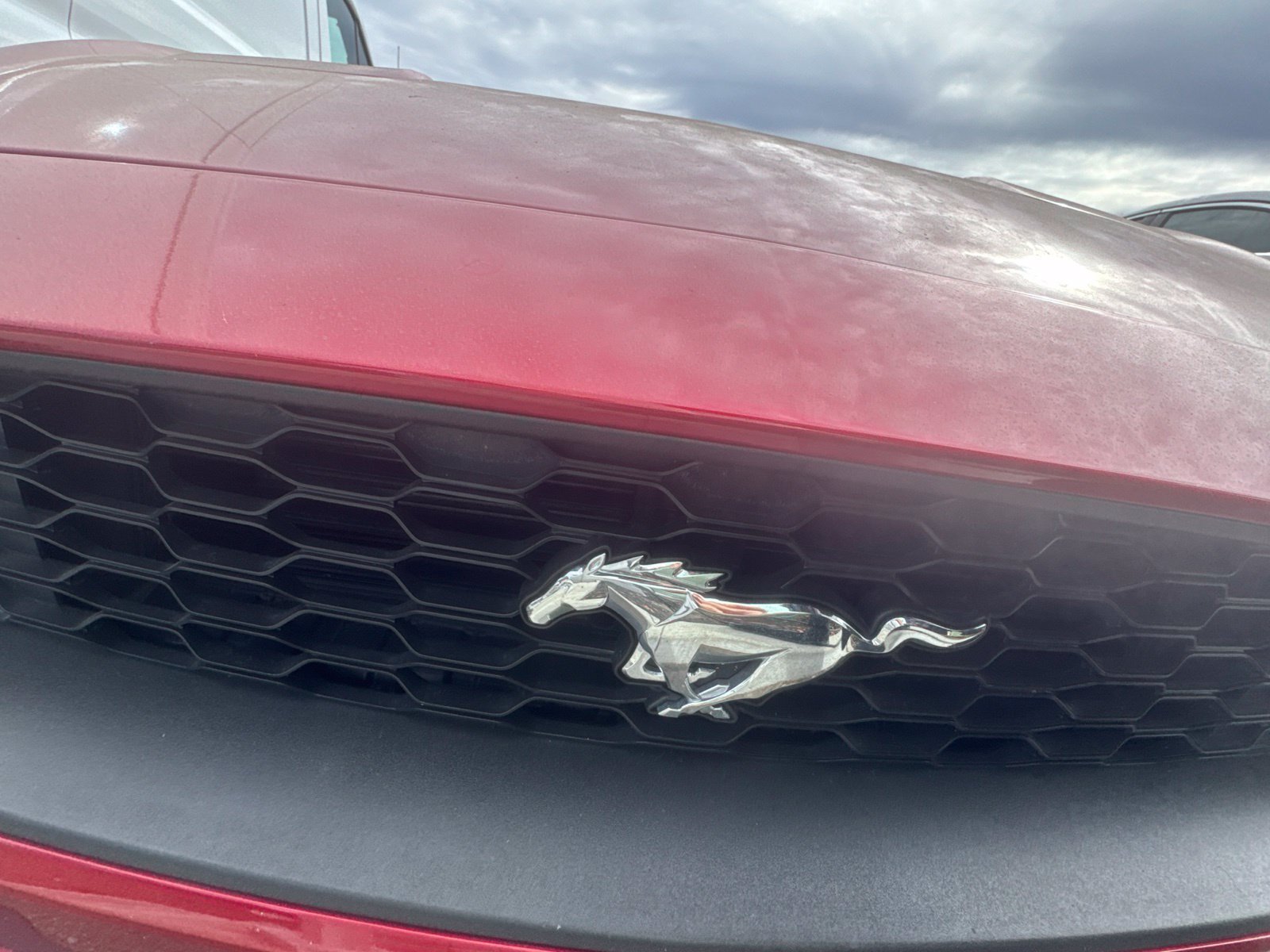 Used 2022 Ford Mustang Coupe w/ Equipment Group 101A RWD image 9