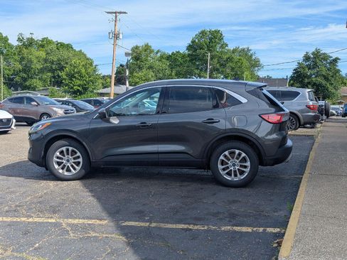 Used 2020 Ford Escape SE AWD/4WD image 5