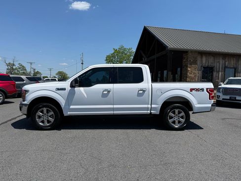 Used 2019 Ford F150 XLT w/ Equipment Group 302A Luxury AWD/4WD image 3