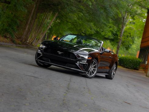 Used 2019 Ford Mustang Premium w/ Equipment Group 201A RWD image 26