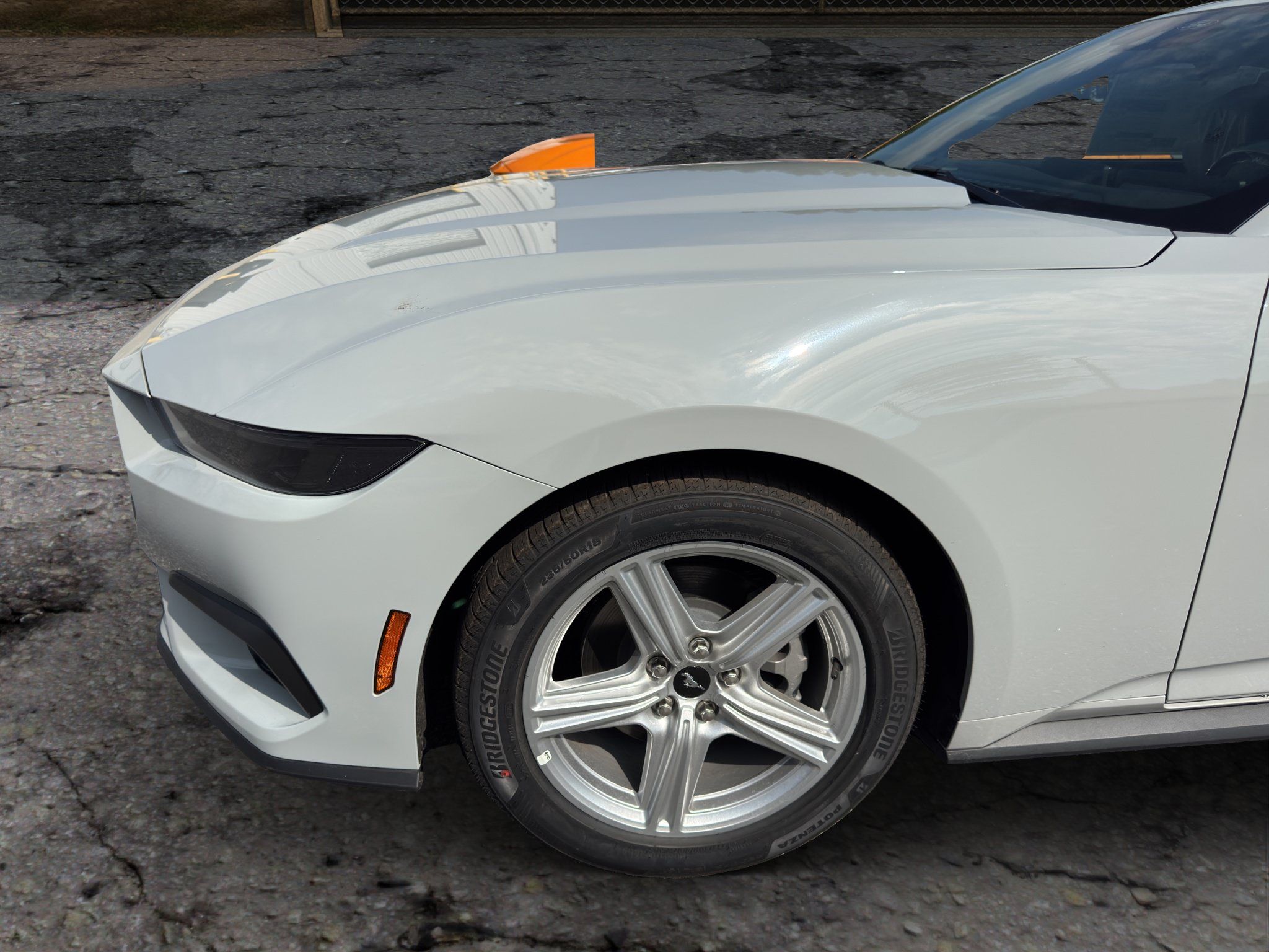 Used 2026 Ford Mustang Coupe RWD image 12