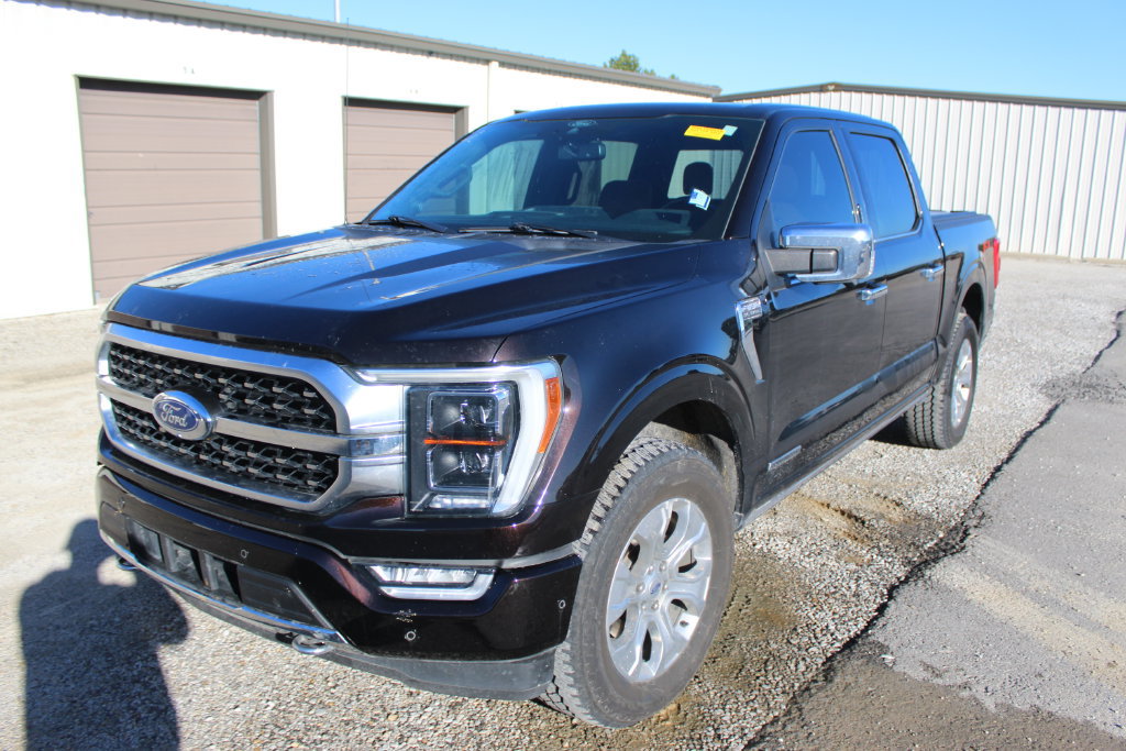 Used 2021 Ford F150 Platinum w/ Equipment Group 701A High AWD/4WD image 2