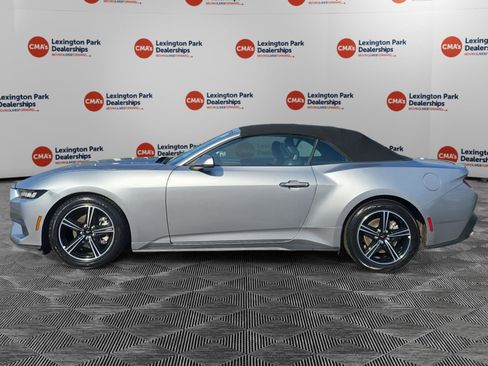 Used 2025 Ford Mustang Premium image 4