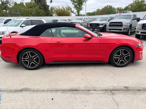 Used 2019 Ford Mustang Premium image 6