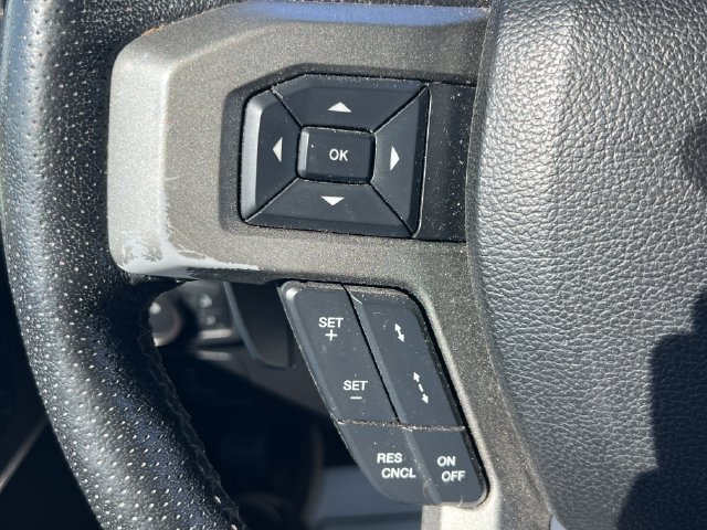 Used 2018 Ford F150 Raptor w/ Equipment Group 802A Luxury AWD/4WD image 27