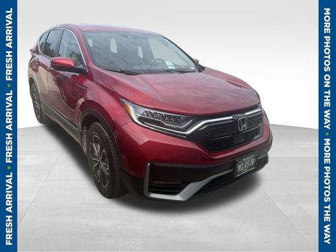 Used 2021 Honda CR-V EX-L image 1