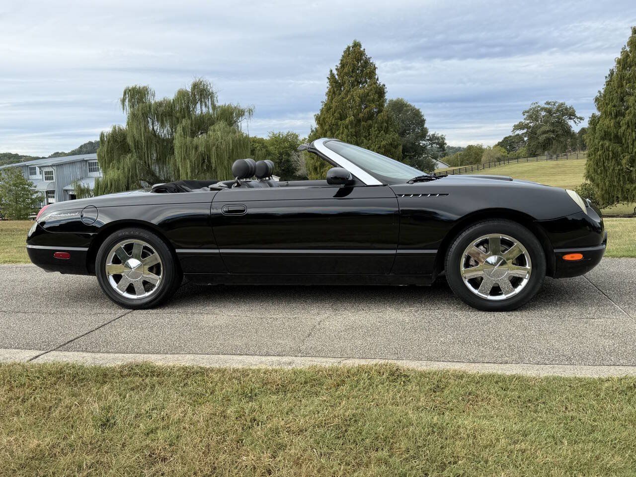 Used 2002 Ford Thunderbird RWD image 11