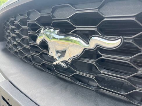 Used 2021 Ford Mustang Coupe RWD image 4
