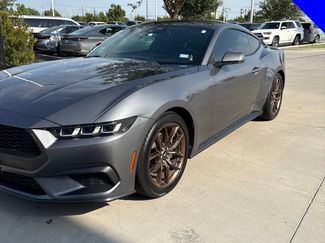 Used 2024 Ford Mustang Premium RWD video 1