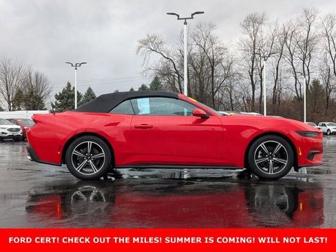 Certified 2025 Ford Mustang Premium image 4