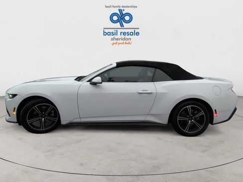 Used 2025 Ford Mustang Premium image 3