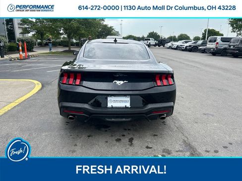 Used 2024 Ford Mustang Coupe RWD image 5