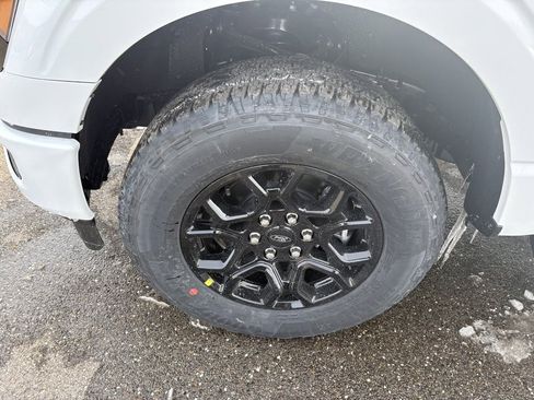 New 2026 Ford F150 XLT w/ FX4 Off-Road Package image 10