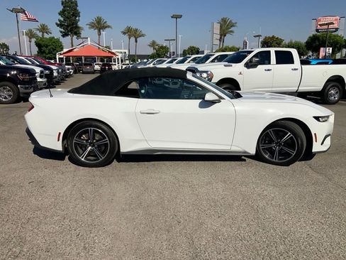 Used 2024 Ford Mustang Premium RWD image 5