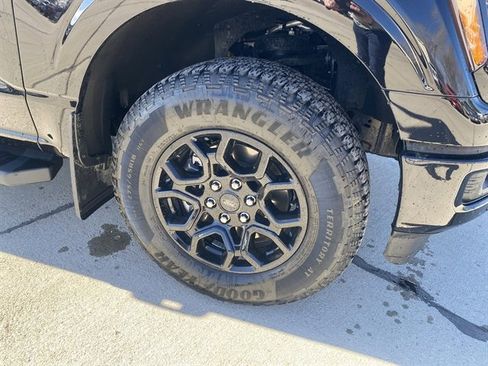 Used 2025 Ford F150 XLT w/ Equipment Group 302A MID image 5