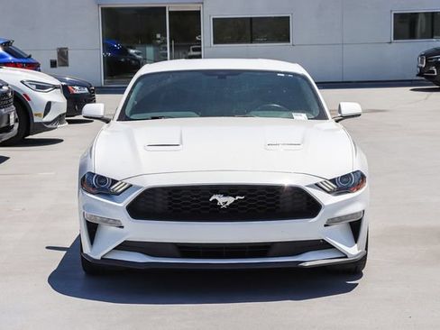 Used 2019 Ford Mustang Coupe w/ Wheel & Stripe Package RWD image 2