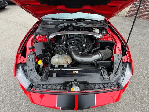 Used 2017 Ford Mustang Shelby GT350 RWD image 11