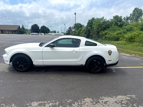Used 2010 Ford Mustang Coupe image 8