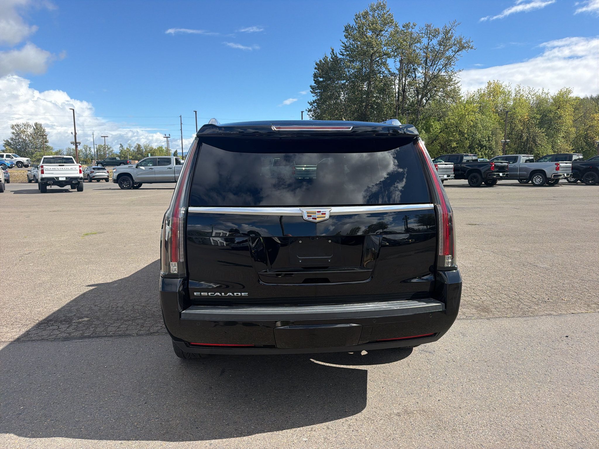 Used 2019 Cadillac Escalade Platinum AWD/4WD image 6