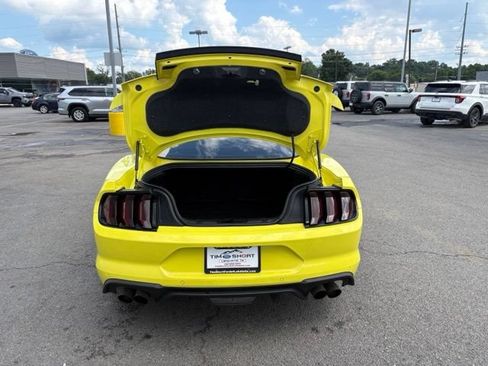 Used 2021 Ford Mustang GT w/ Equipment Group 301A RWD image 33