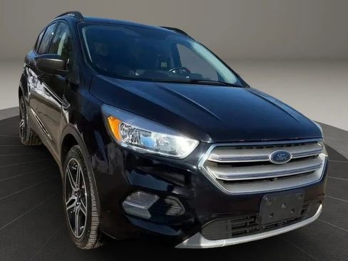 Used 2019 Ford Escape SEL AWD/4WD image 5