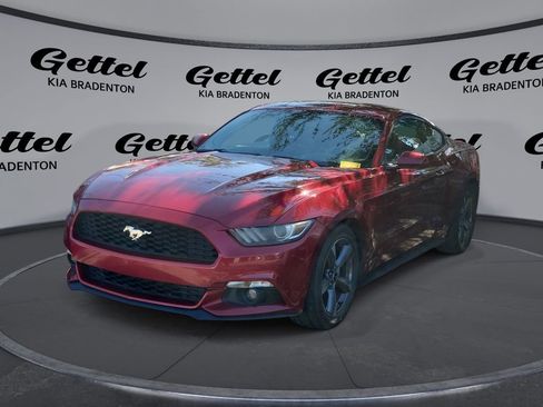 Used 2016 Ford Mustang Premium image 1