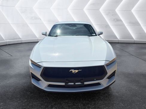 Used 2024 Ford Mustang Premium image 2