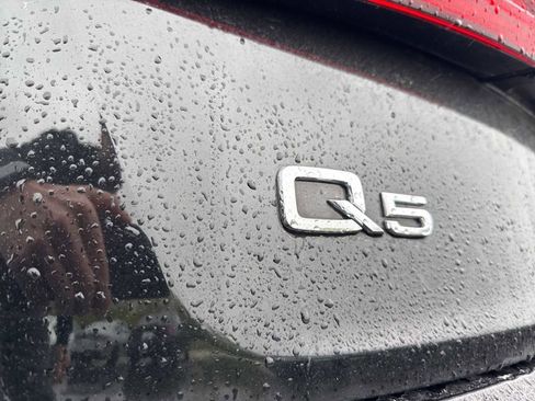 Used 2019 Audi Q5 2.0T Premium Plus AWD/4WD image 13