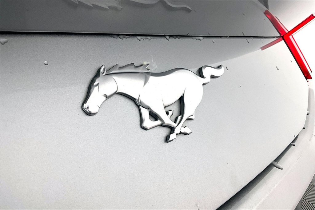 Certified 2024 Ford Mustang Premium RWD image 14