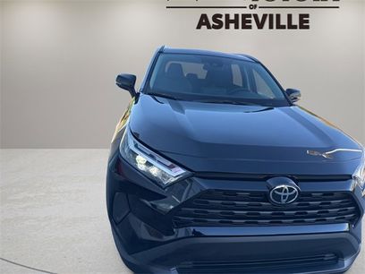 Used 2025 Toyota RAV4 XLE