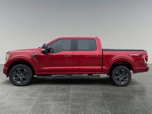 Used 2021 Ford F150 XLT w/ Equipment Group 302A High AWD/4WD image 2