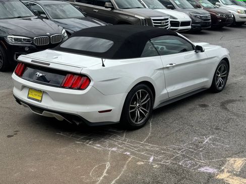 Used 2017 Ford Mustang Premium RWD image 4