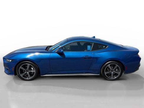 Used 2024 Ford Mustang EcoBoost image 2