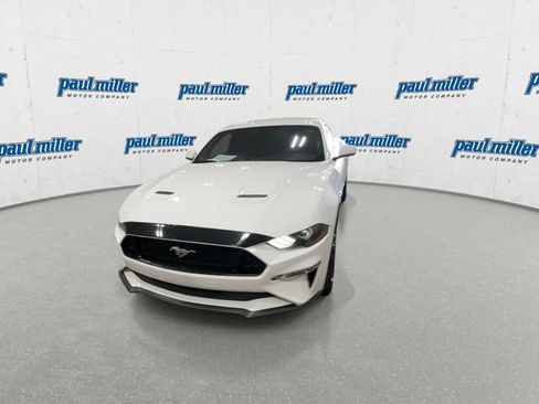 Used 2019 Ford Mustang GT w/ Equipment Group 301A RWD image 4