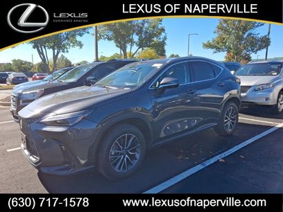 Used 2025 Lexus NX 300h AWD w/ Luxury Package