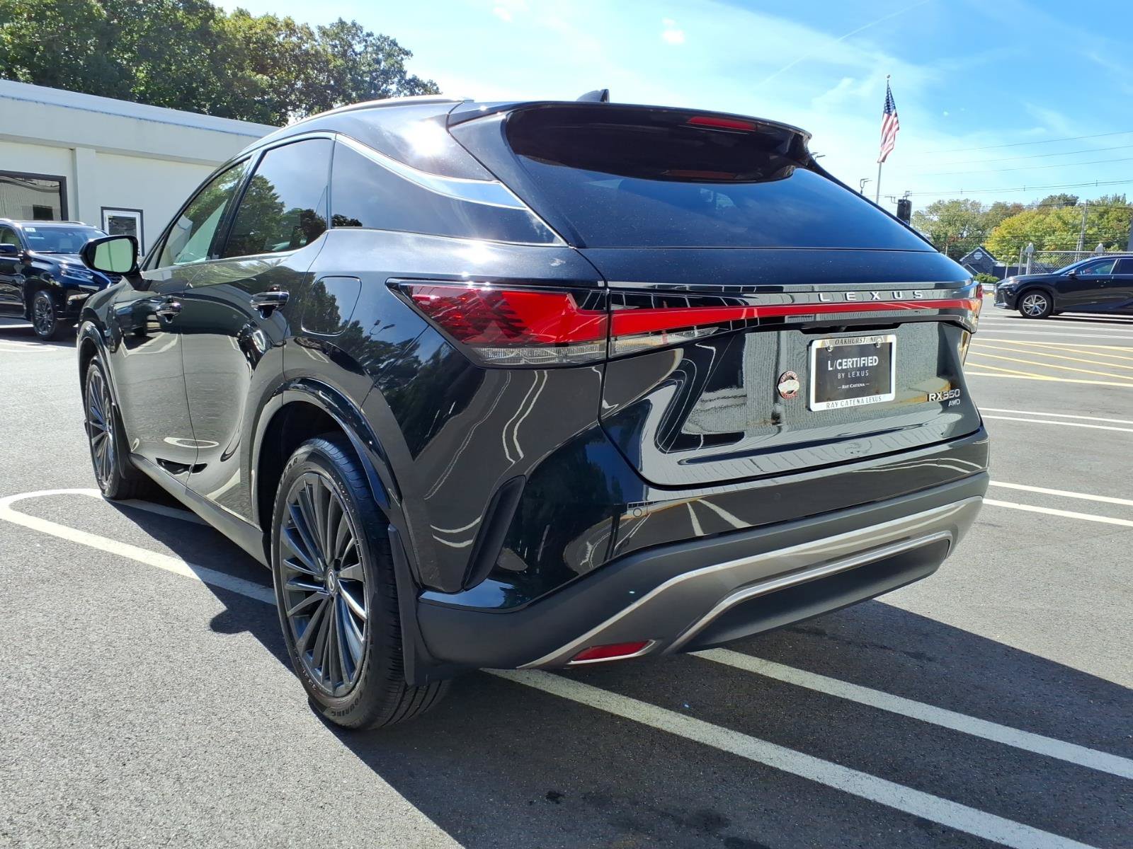 Certified 2024 Lexus RX 350 Premium w/ Cold Area Package AWD/4WD image 21