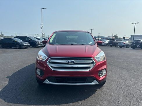 Used 2019 Ford Escape SE AWD/4WD image 8
