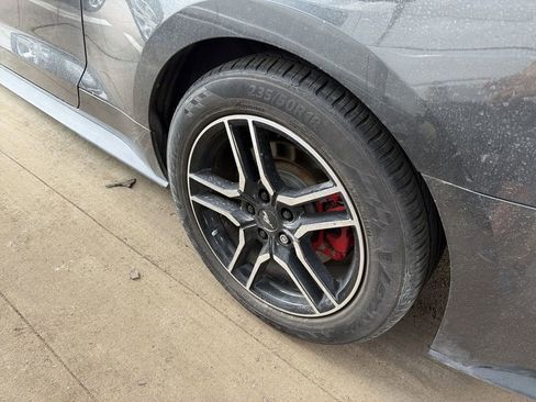 Used 2019 Ford Mustang GT w/ Enhanced Security Package image 5