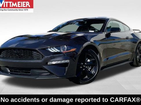 Used 2022 Ford Mustang Premium w/ Equipment Group 201A RWD image 1