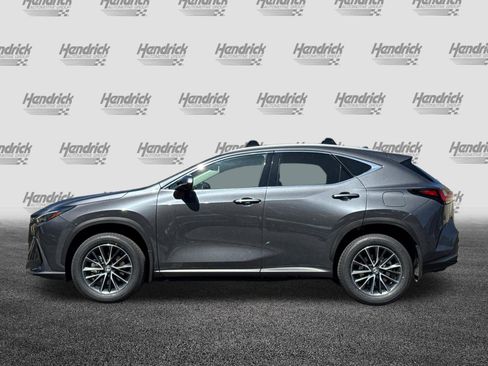 Certified 2025 Lexus NX 350h AWD w/ Cold Area Package image 8