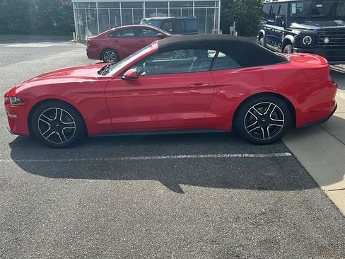 Used 2019 Ford Mustang Premium RWD image 2