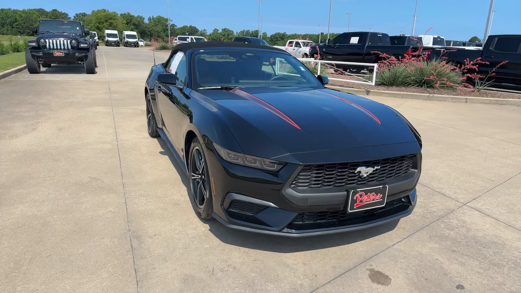 Used 2025 Ford Mustang Premium RWD image 2