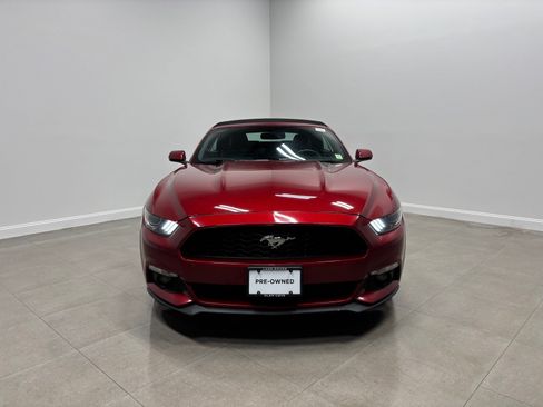 Used 2016 Ford Mustang Premium w/ Equipment Group 201A RWD image 3