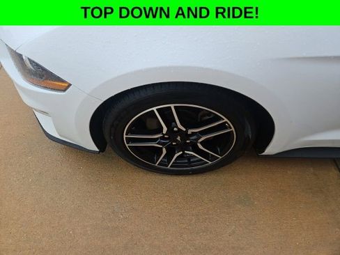 Used 2023 Ford Mustang Premium image 15