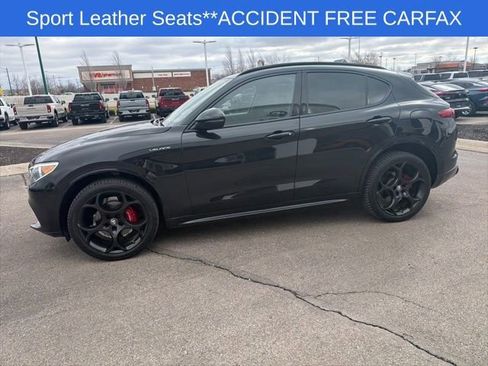 Used 2022 Alfa Romeo Stelvio Veloce image 7