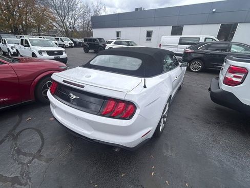 Used 2023 Ford Mustang Premium w/ Equipment Group 201A image 9
