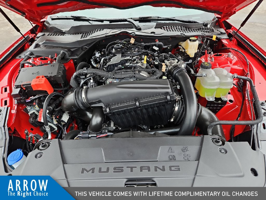 New 2026 Ford Mustang Coupe RWD image 15