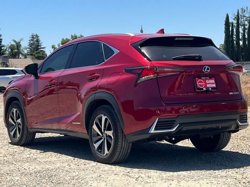 Used 2019 Lexus NX 300h AWD w/ Premium Package image 7